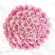 Sivakasi Rooja Poo Crackers